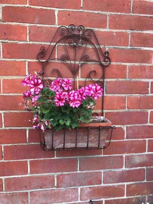 Brook Lodge Garden Flat Swanage Ngoại thất bức ảnh